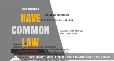 Michigan's Marriage Law: Common Law or Not?