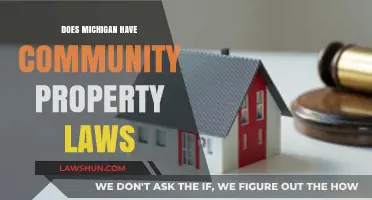 Does Michigan Follow Community Property Laws? Understanding Marital Assets