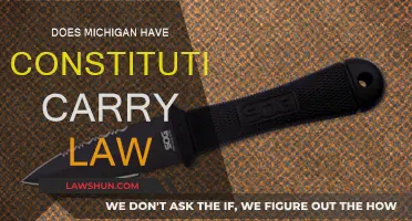 Michigan's Constitutional Carry Law: What You Need to Know