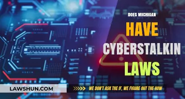 Michigan's Cyberstalking Laws: Understanding Legal Protections and Penalties