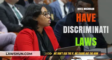 Michigan's Discrimination Laws: Understanding Protections and Legal Framework