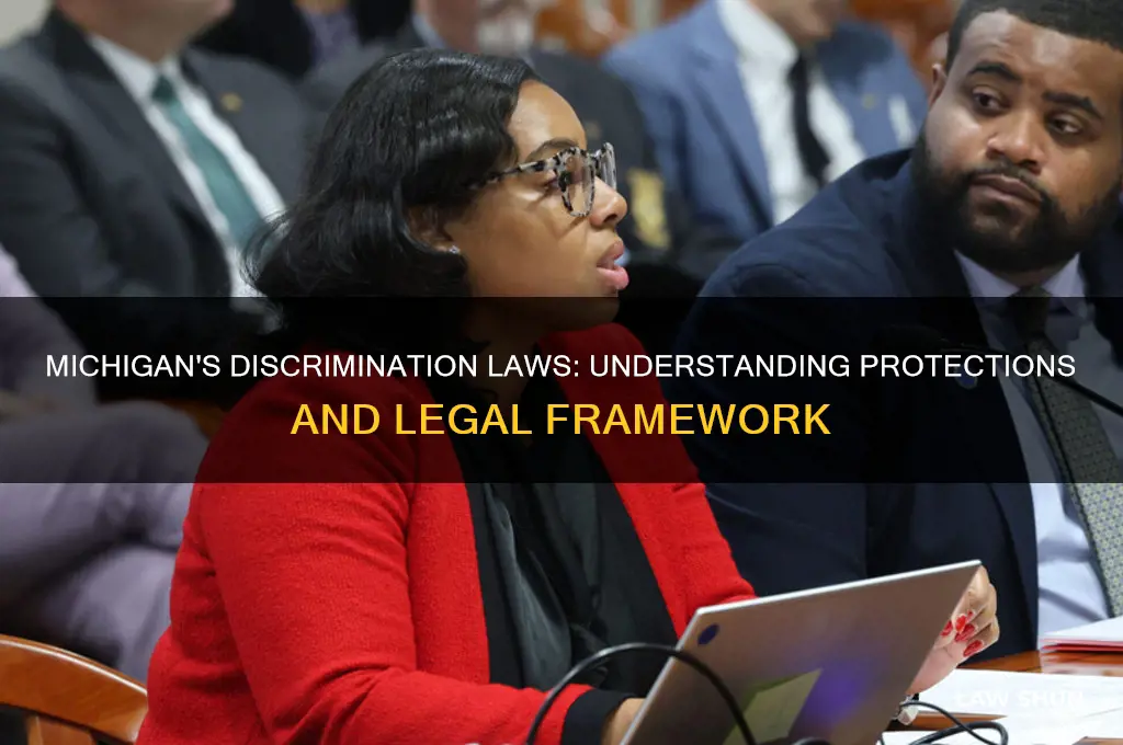 does michigan have discrimination laws