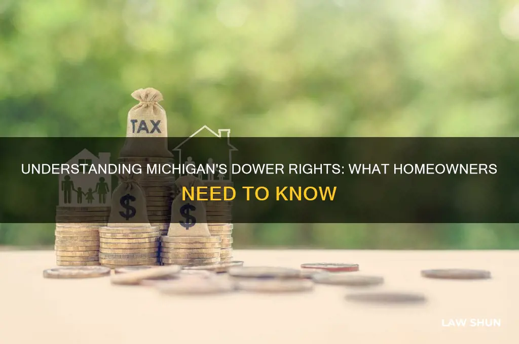 Understanding Michigan's Dower Rights: What Homeowners Need To Know ...