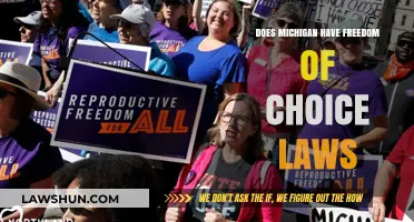 Michigan's Freedom of Choice Laws: Understanding Reproductive Rights in the State
