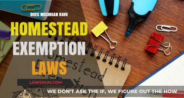 Michigan Homestead Exemption Laws: Protecting Your Home Equity Explained
