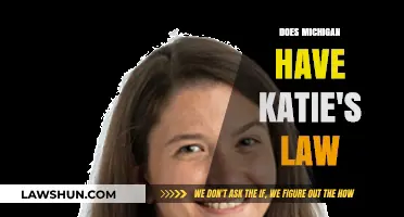 Does Michigan Have Katie's Law? Understanding DNA Collection Policies