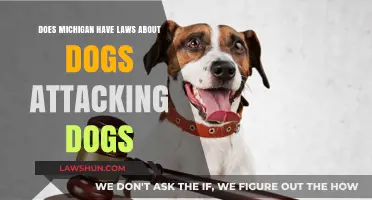 Michigan Dog Attack Laws: What Owners Need to Know