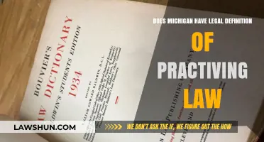 Michigan's Legal Definition of Practicing Law: What You Need to Know