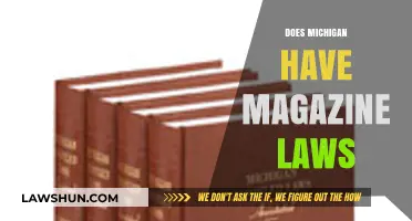 Michigan Magazine Laws: Understanding Regulations and Restrictions for Gun Owners