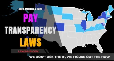 Michigan Pay Transparency Laws: What Employers and Employees Need to Know