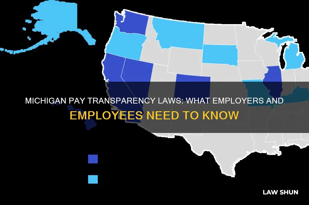 does michigan have pay transparency laws