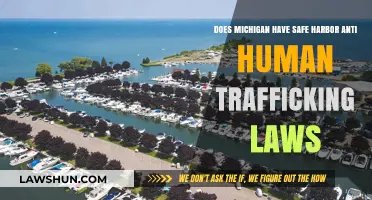 Michigan's Safe Harbor Laws: Protecting Human Trafficking Survivors