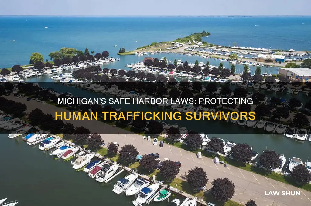 does michigan have safe harbor anti human trafficking laws