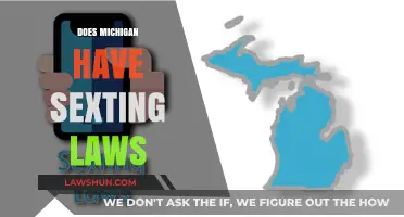 Understanding Michigan's Sexting Laws: What You Need to Know
