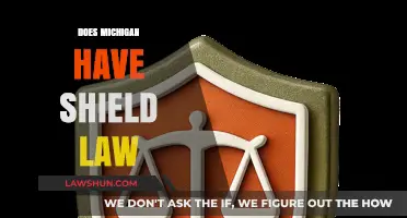 Does Michigan Have a Shield Law? Understanding Journalist Protections