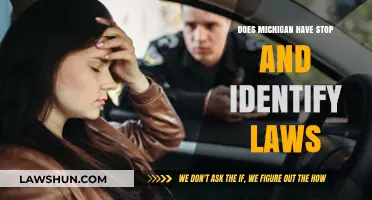 Michigan's Stop and Identify Laws: What You Need to Know