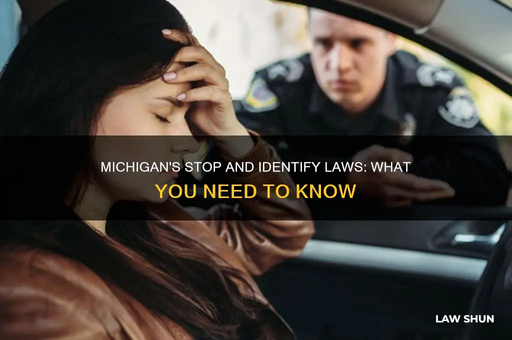 does michigan have stop and identify laws