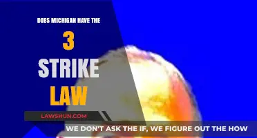Michigan's Repeat Offender Laws: Understanding the Three Strikes Debate