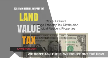 Michigan's Unique Stance on Land Value Taxation