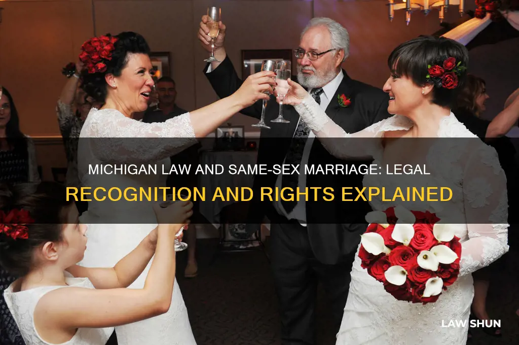 does michigan law recognize same sex marriage