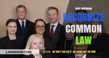 Common Law Marriages: Michigan's Legal Recognition