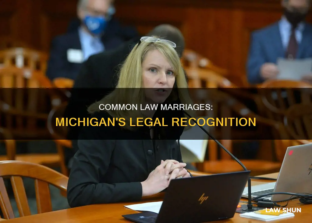 does michigan recognize common law