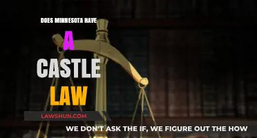 Exploring Minnesota's Castle Law: Myths, Facts, and Home Defense