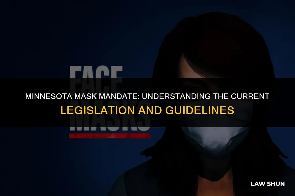 does minnesota have a mask law