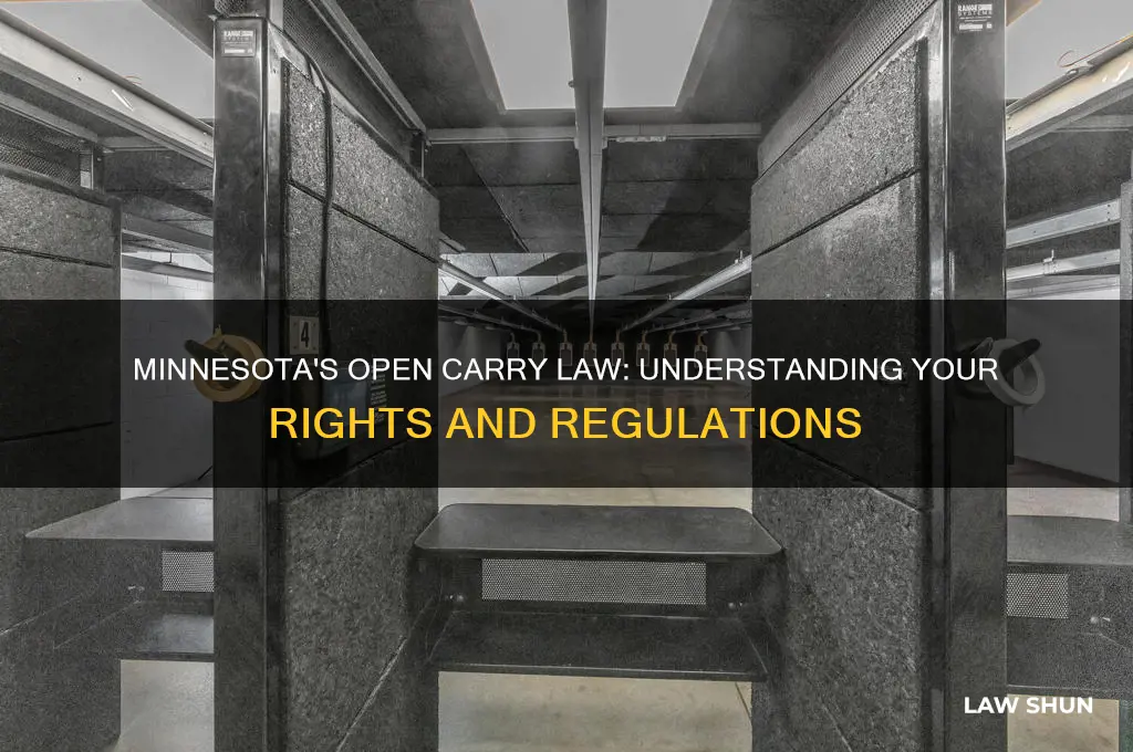 does minnesota have an open carry law