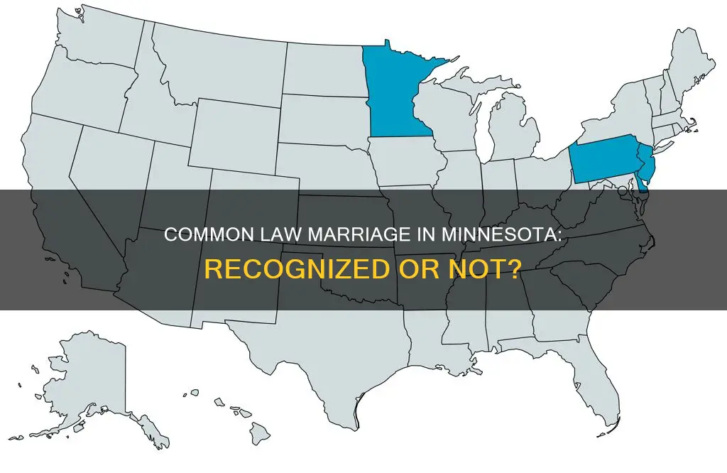 does minnesota have common law