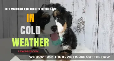 Minnesota's Dog Laws: Protecting Pets in Cold Weather Conditions
