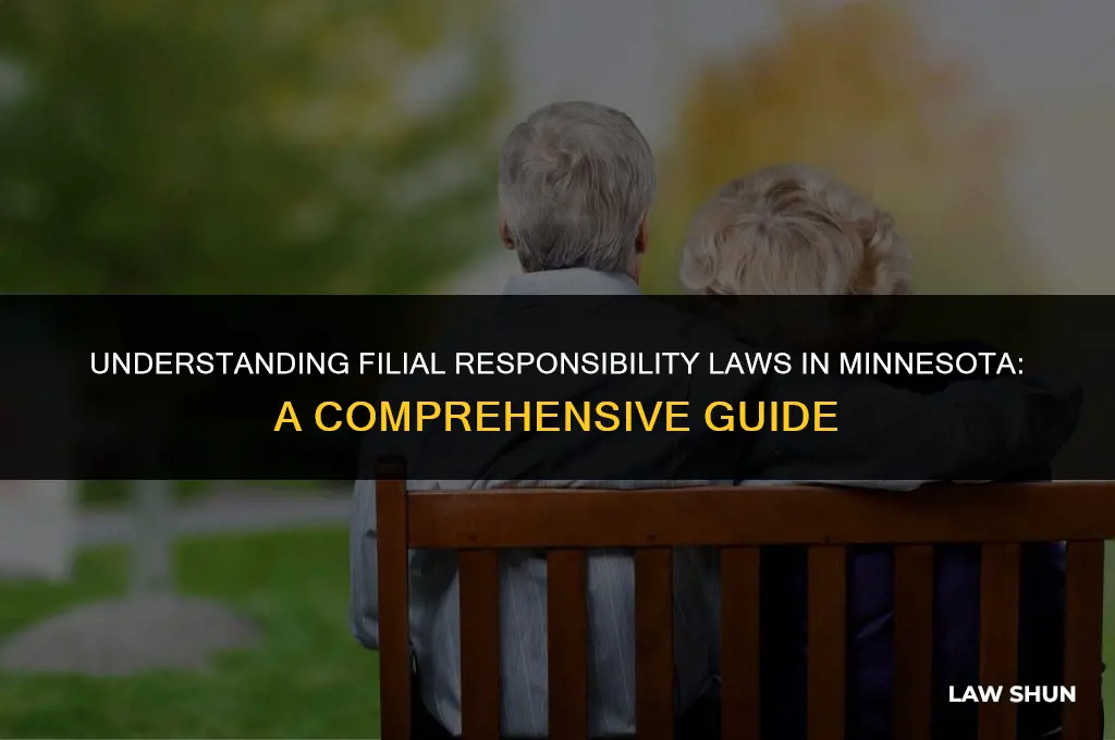 does minnesota have filial responsibility laws