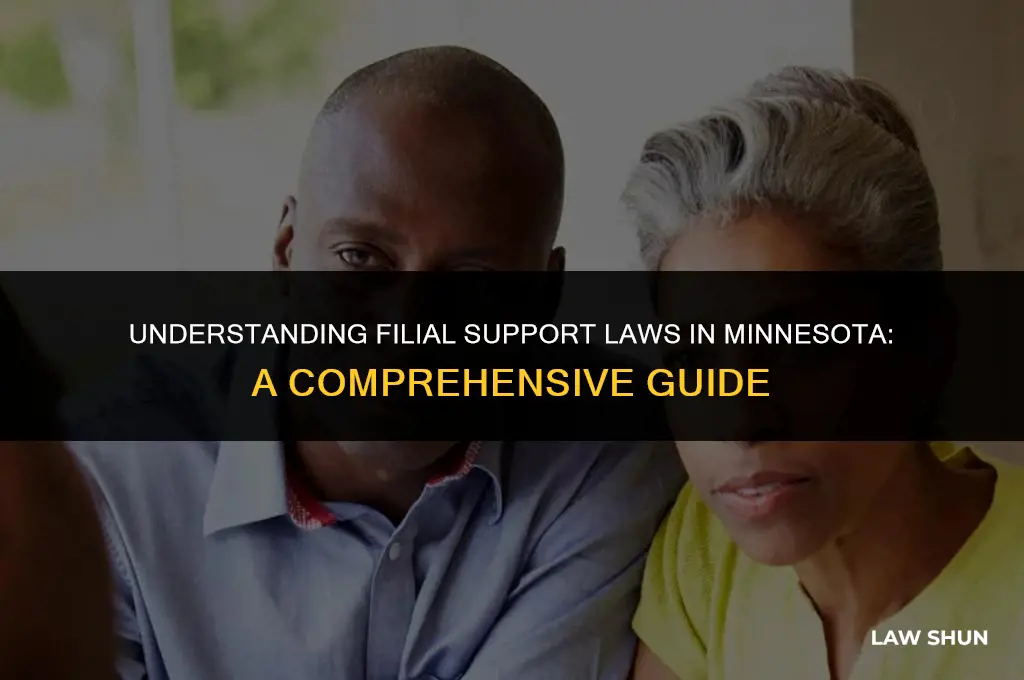 does minnesota have filial support laws