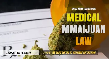 Exploring Minnesota's Medical Marijuana Laws: A Comprehensive Guide