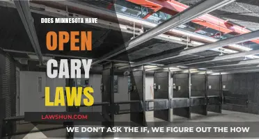Understanding Minnesota's Open Carry Laws: What You Need to Know