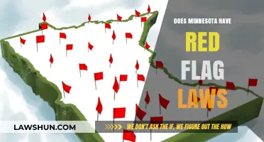 Exploring Minnesota's Stance on Red Flag Laws: A Comprehensive Overview