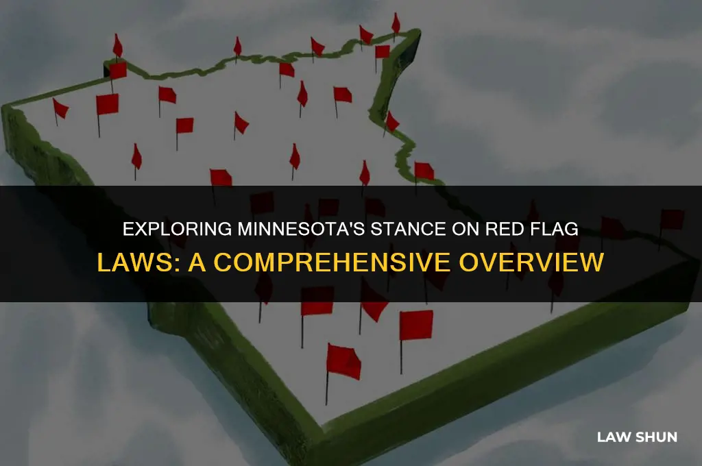 does minnesota have red flag laws