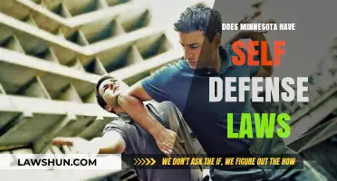 Understanding Minnesota's Self-Defense Laws: A Comprehensive Guide