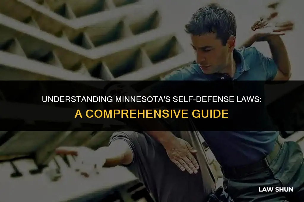 does minnesota have self defense laws