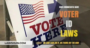 Minnesota Voter ID Laws: What You Need to Know