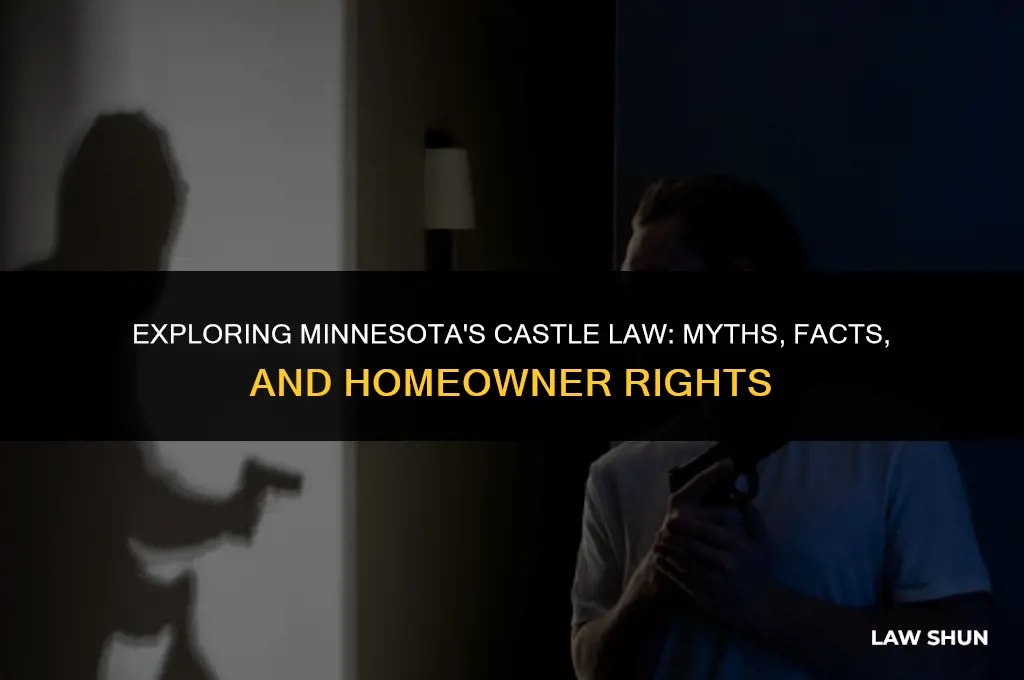 does minnisota have a castle law