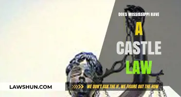 Exploring Mississippi's Self-Defense Laws: Does the Magnolia State Have a Castle Law?