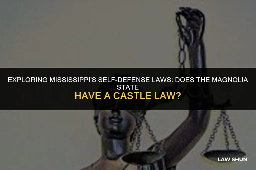 does mississippi have a castle law