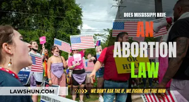 Mississippi's Abortion Law: Understanding the Current Landscape