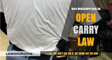 Mississippi's Open Carry Law: Understanding Gun Rights in the Magnolia State