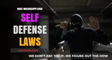 Understanding Self-Defense Laws in Mississippi: A Comprehensive Guide