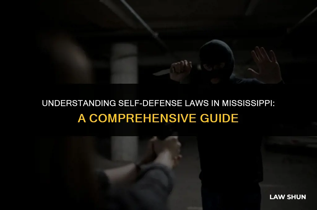does mississippi have self defense laws