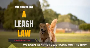 Missouri Leash Laws: Understanding Canine Control in the Show-Me State