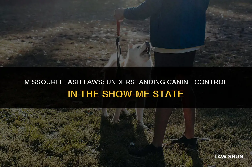 does missouri have a leash law