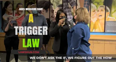 Exploring Missouri's Legal Landscape: The Presence of Trigger Laws
